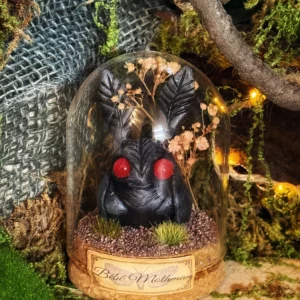 Bébé Mothman